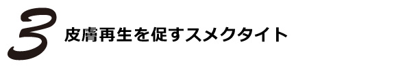 ３
皮膚再生を促すスメクタイト