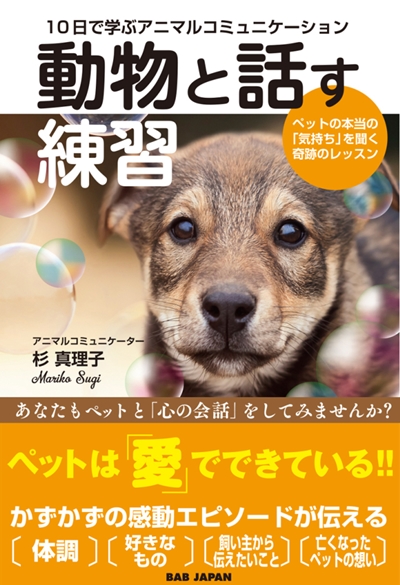 10日で学ぶアニマルコミュニケーション  『動物と話す練習』出版記念！  ＃動物と話そうキャンペーン