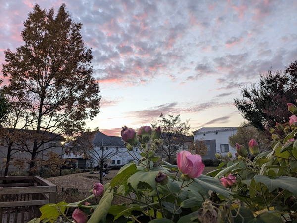 図書館に隣接していた公園からの夕暮れ。