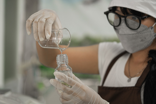 地元の農林大学とは、技術支援のほか農家の紹介や農業の指導などの協力を得ている。