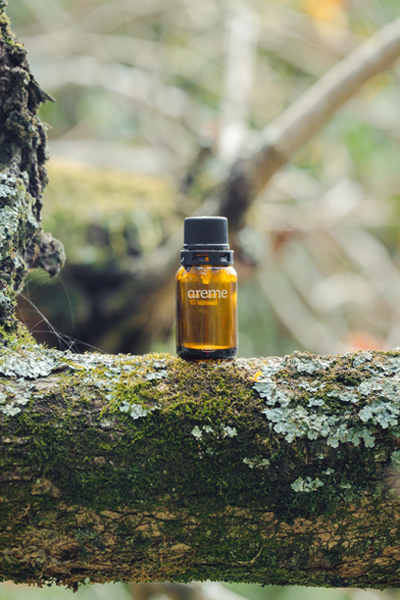 Areme（アリーム）／ベトナム