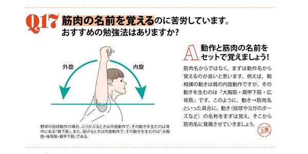 50のQ&A_筋肉名称の覚え方