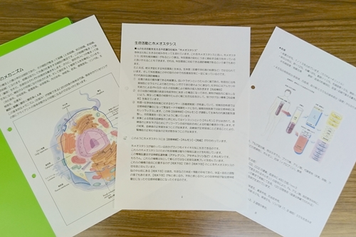 目からウロコの解剖学栄養学セミナーセラピスト