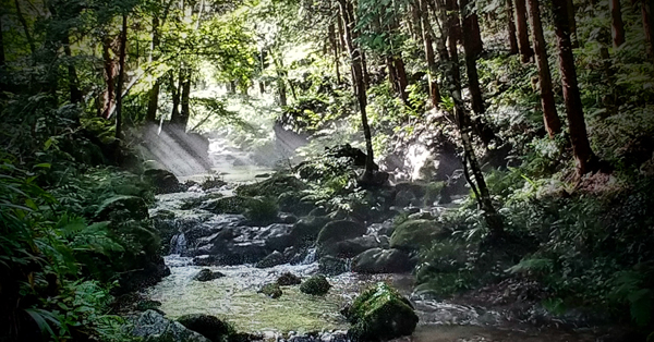 沢にチンダル現象