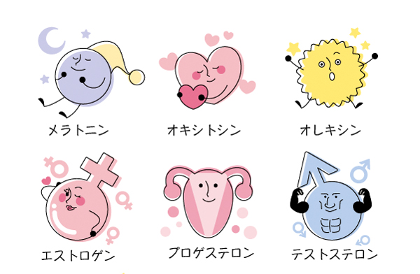 私たちの身体の中では 100種超の ホルモン が働いている セラピスト編集部ブログ セラピスト Online