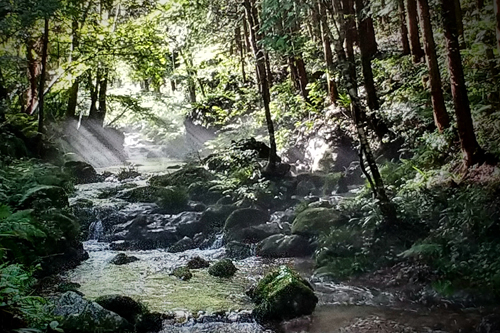 沢にチンダル現象