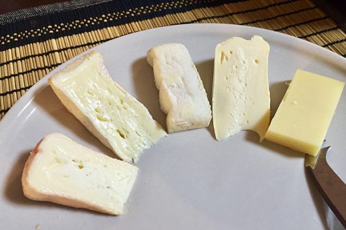 チーズ免疫力アップセラピスト編集部