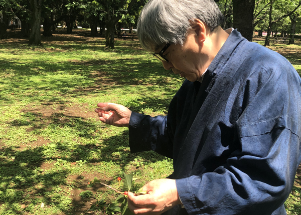 桜は同種のクローン同士で受粉しても実がならないと教えて頂きました。