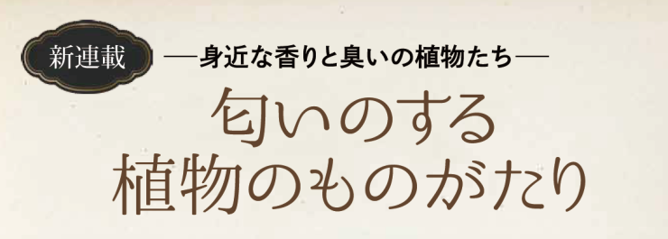 指田豊、植物