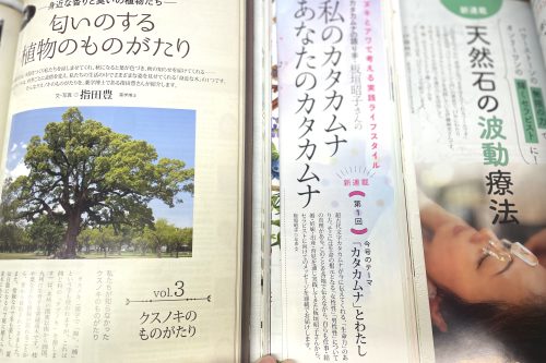 連載、セラピスト誌