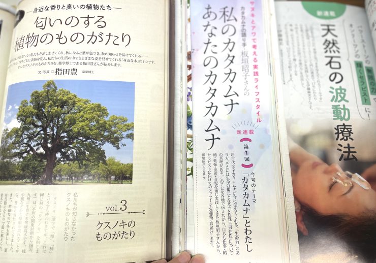 連載、セラピスト誌