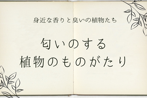 植物、植物のものがたり