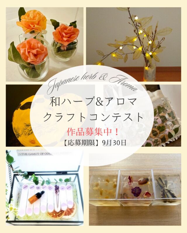 吉田節子 よしだせつこ | セラピスト・エステティシャン名鑑