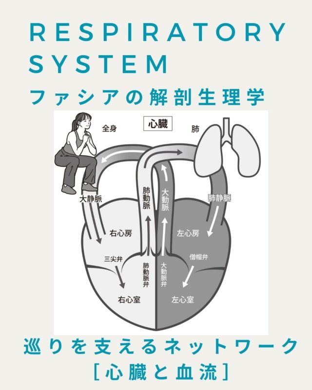 吉田節子 よしだせつこ | セラピスト・エステティシャン名鑑