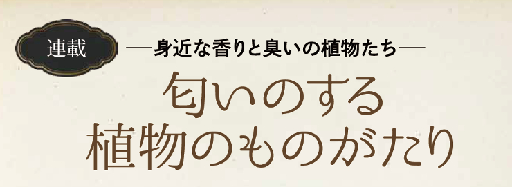 植物、植物のものがたり